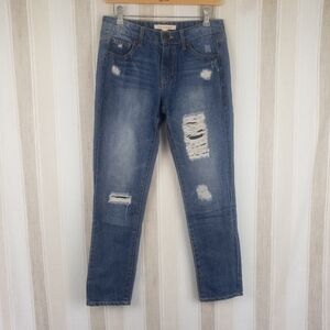 Life in Progress Distressed Jeans Size 24